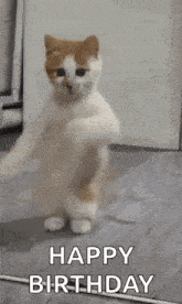 IMG_1726.gif.718c60ca5718dee9e992185ddb443611.gif