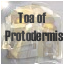 Toa of Protodermis
