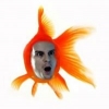 Jim the Fish