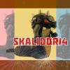 Skalidor14 Studios